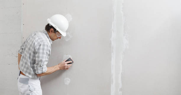 Best Mold Removal for HVAC Installations  in Nicoma Park, OK