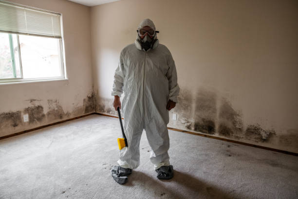 Mold Removal for HVAC Installations in Nicoma Park, OK